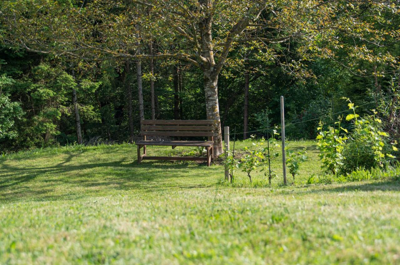 Gartenlodge Auszeit Nötsch Buitenkant foto