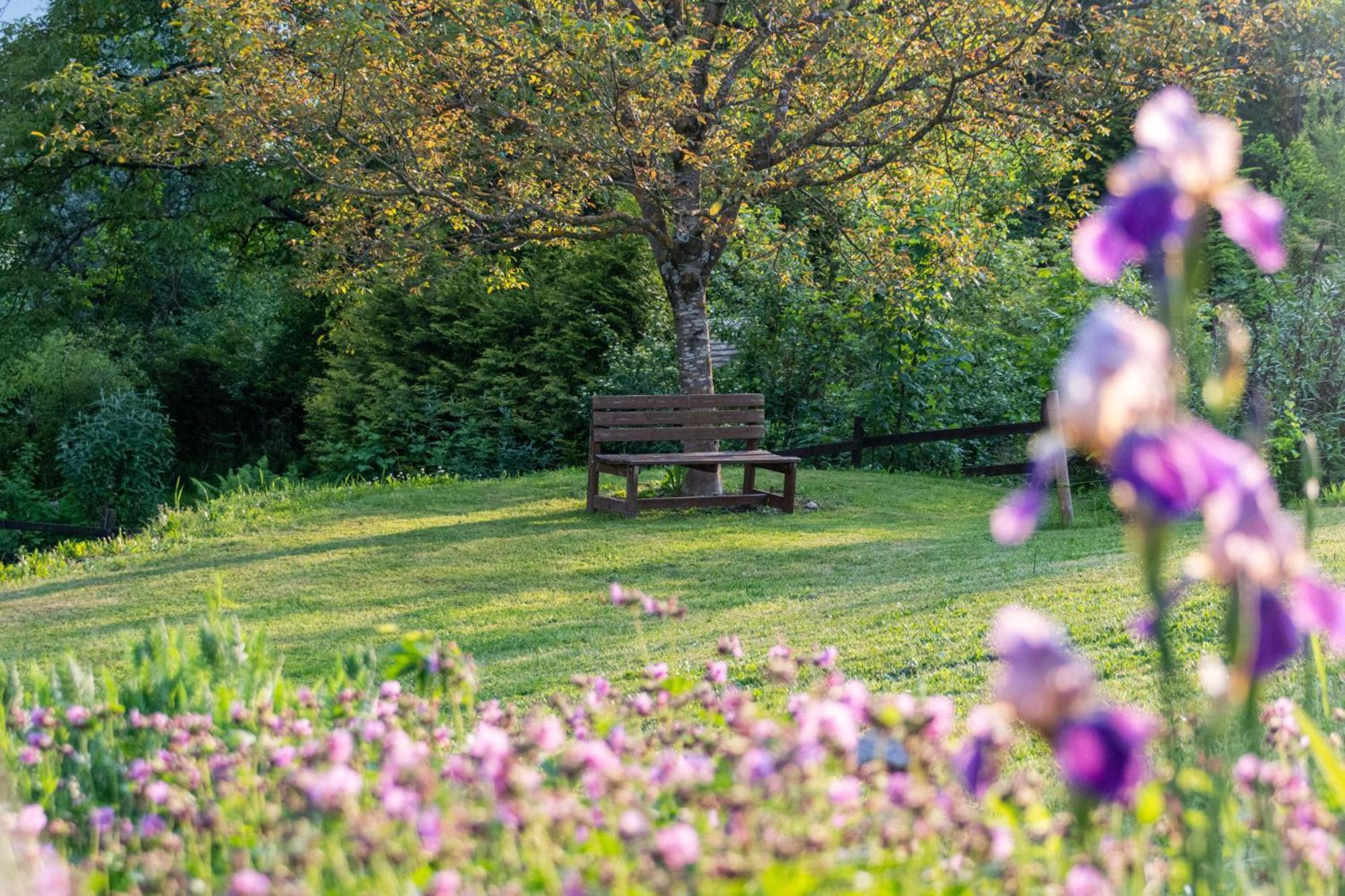 Gartenlodge Auszeit Nötsch Buitenkant foto