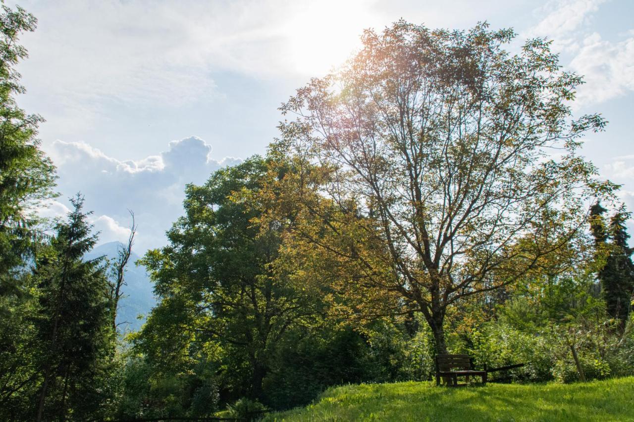 Gartenlodge Auszeit Nötsch Buitenkant foto